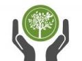 Logo site web 1